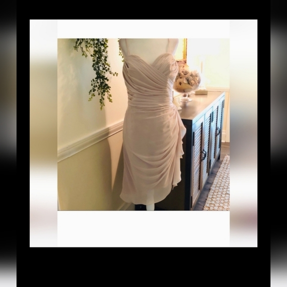 (JUST LISTED) NWT! GORGEOUS WATTERS FRENCH VANILLA CRINKLE CHIFFON DRESS - Picture 3 of 11